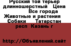 Русский той-терьер длинношерстный › Цена ­ 7 000 - Все города Животные и растения » Собаки   . Татарстан респ.,Казань г.